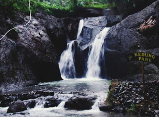 Curug Kedungpani: Pesona Air Terjun Alami di Desa Erorejo