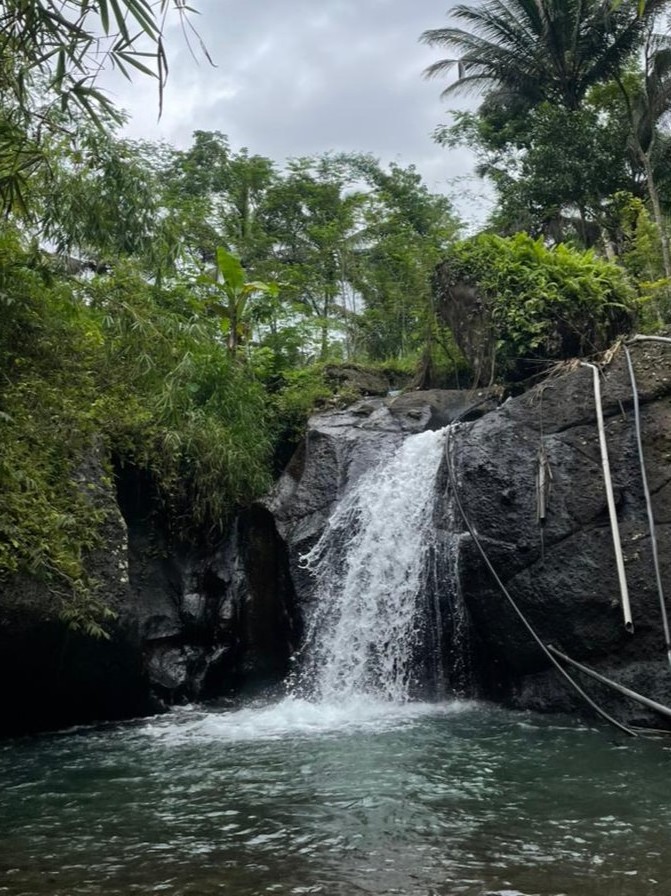 Curug Kedungpani: Pesona Air Terjun Alami di Desa Erorejo